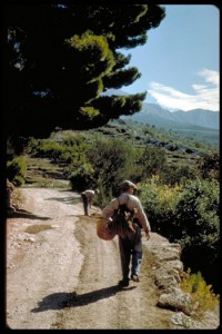 Dalmatia, former Yugoslavia