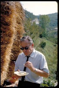 Italian Field Surveys of Seven Countries Study