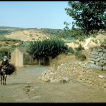 Crete Seven Countries Study Five-year Follow-up Survey