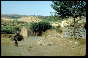 Crete Seven Countries Study Five-year Follow-up Survey
