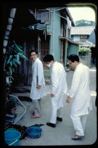 Tanushimaru, Japan Survey