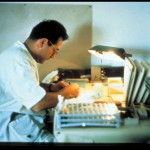 Dalmatia: Toma Strasser