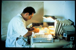 Dalmatia: Toma Strasser