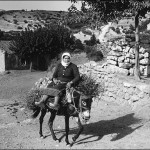 Crete, Greece: Woman on Donkey