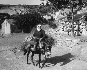 Crete, Greece: Woman on Donkey