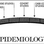 Epidemiology as a Bridge