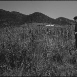 Early Informal Survey, Sardinia