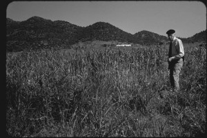 Early Informal Survey, Sardinia