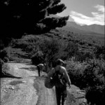 Dalmatia SCS Survey staff on a Sunday picnic