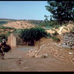 Cretan lady riding donkey