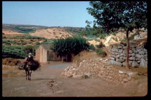 Cretan lady riding donkey