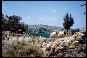 Crete, Greece Survey: survey team